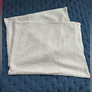 West Elm Standard Pillow Shams (2)